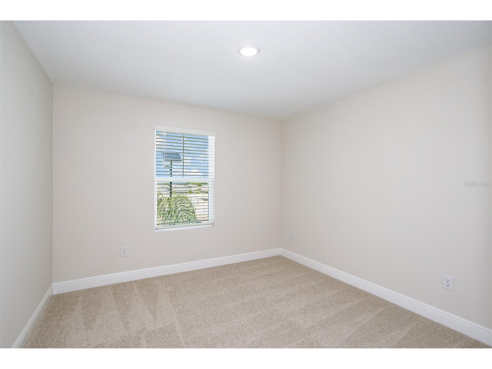 9886 Annunciation Drive Wesley Chapel FL 33545 TB8505493 image15