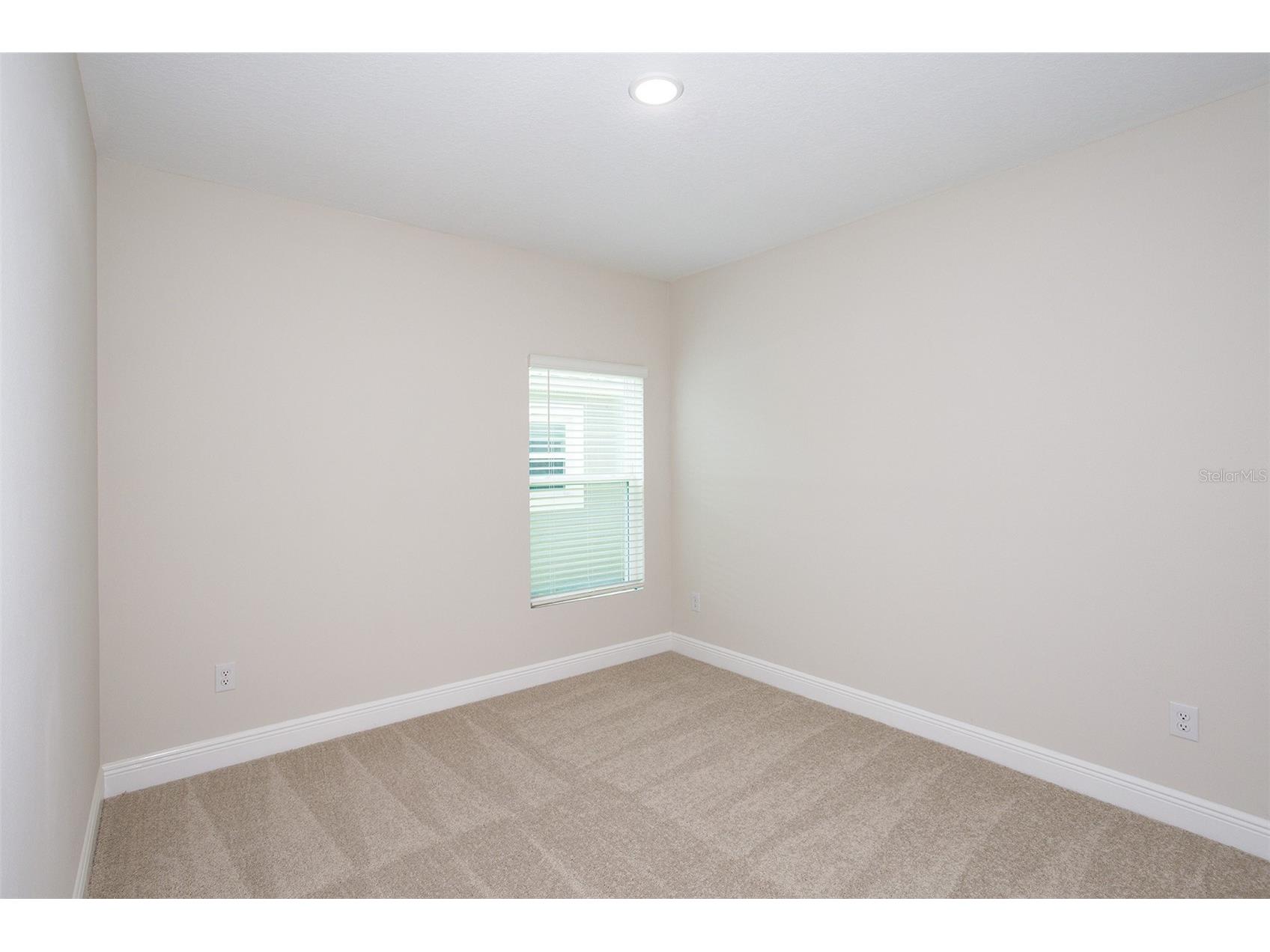 9886 Annunciation Drive Wesley Chapel FL 33545 TB8505493 image17