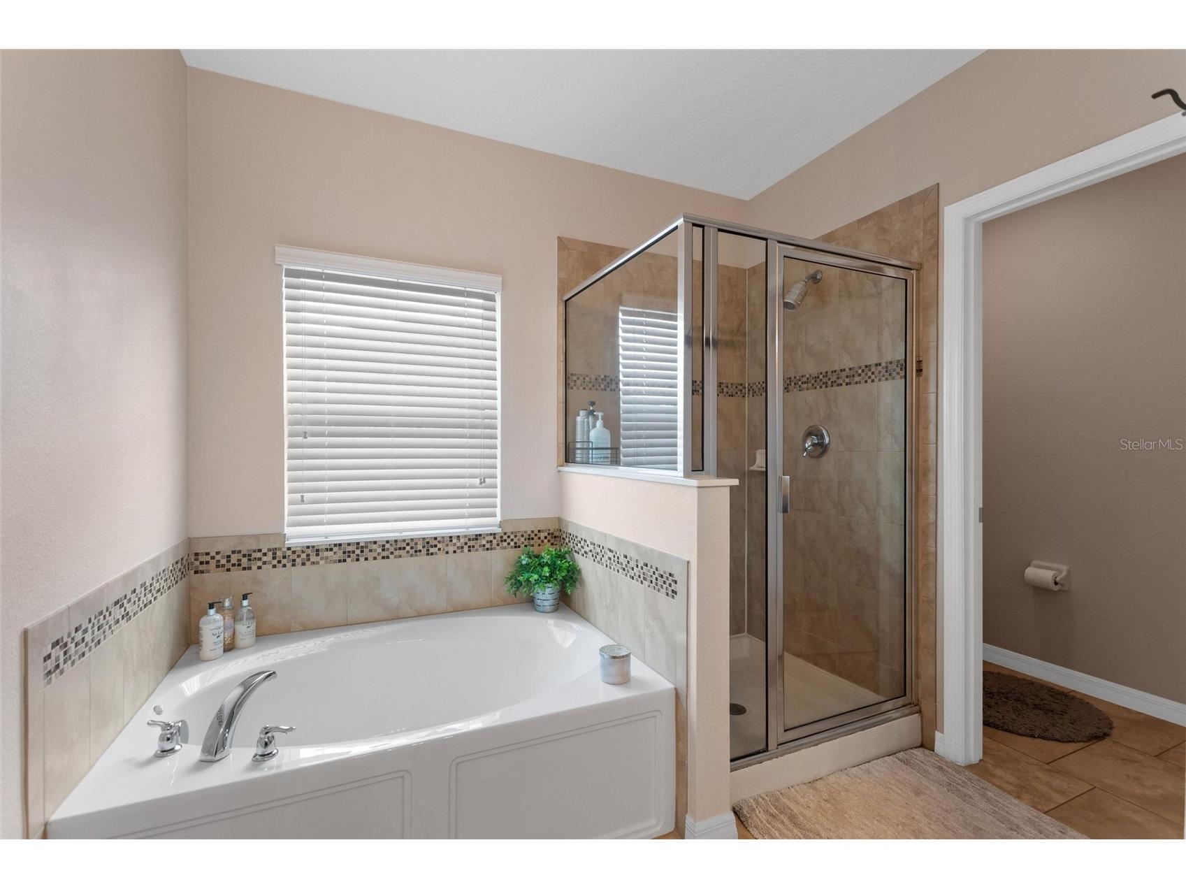 9886 Lenox Street Clermont FL 34711 O6401772 image26