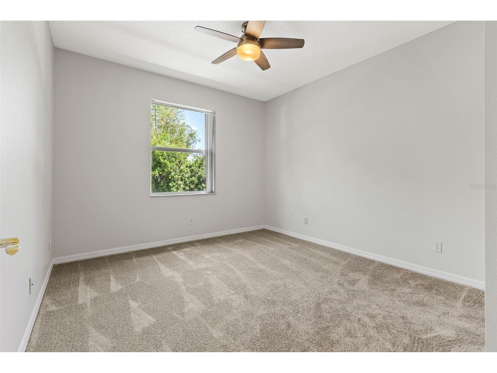 9889 66th Street N Pinellas Park FL 33782 TB8482681 image10