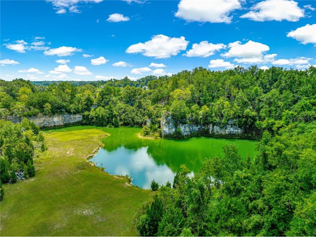 9889 NW 11 Terrace Ocala FL 34475 OM706875 image64