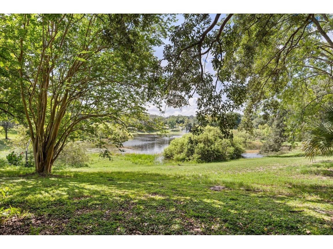 989 Summer Lakes Drive Orlando FL 32835 O6364533 image49