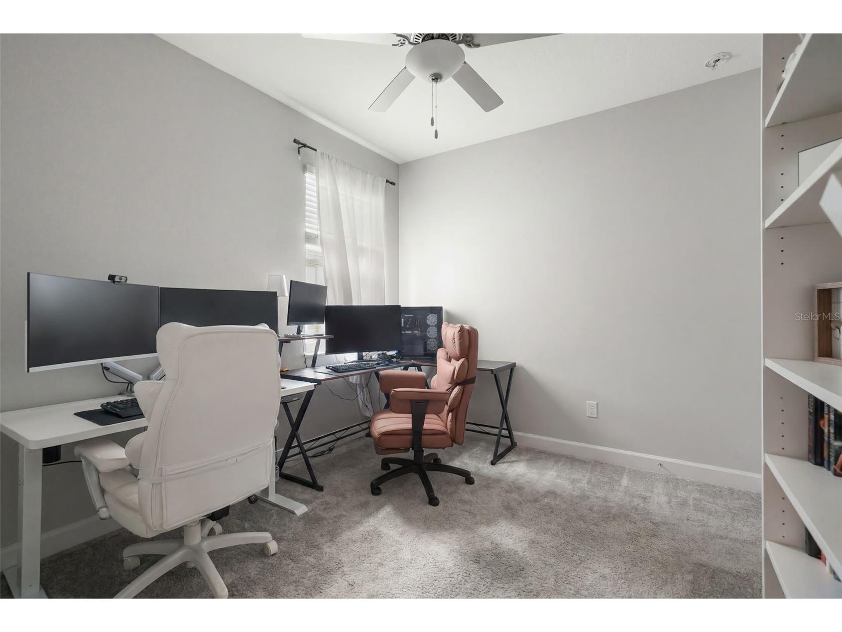 9890 Red Bay Loop Land O Lakes FL 34637 TB8515692 image22