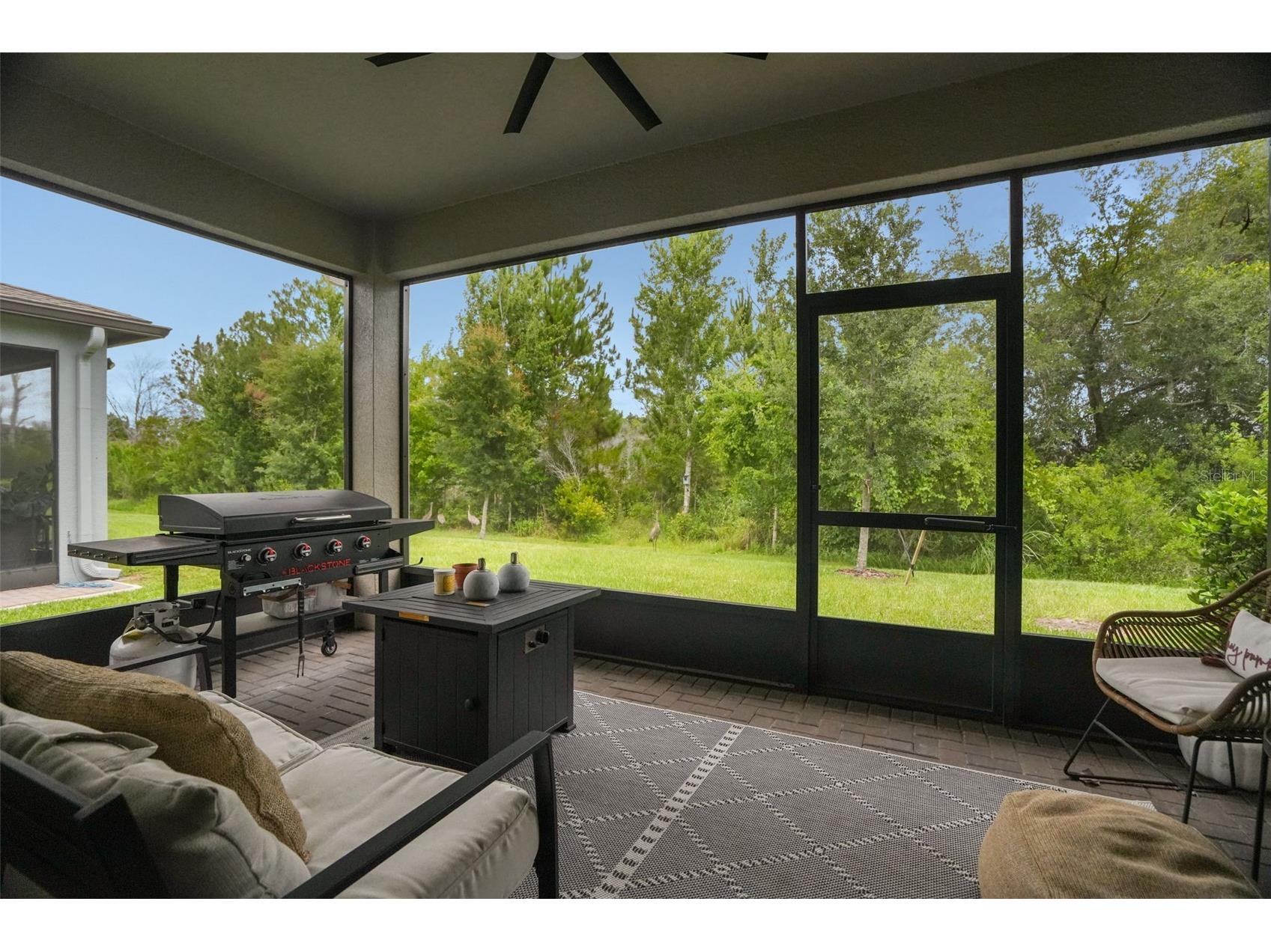 9890 Red Bay Loop Land O Lakes FL 34637 TB8515692 image26