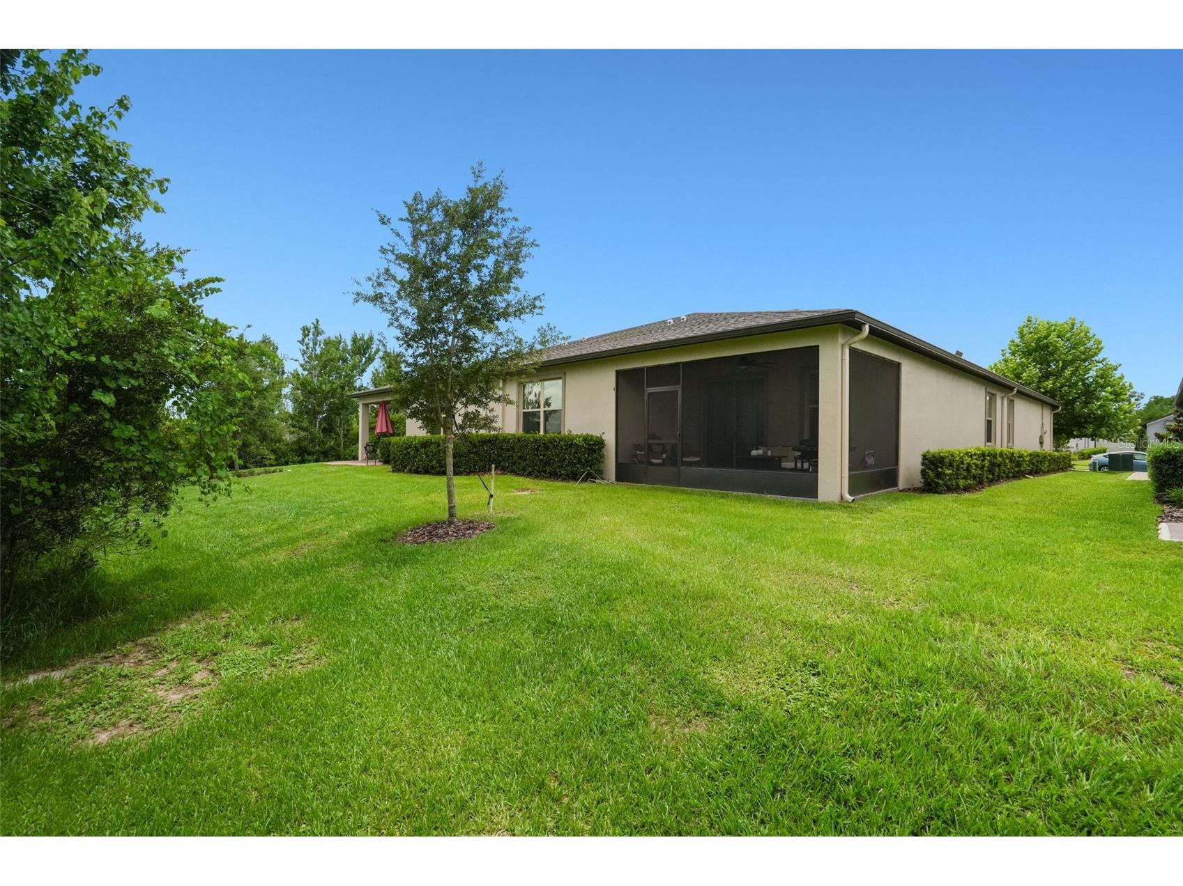 9890 Red Bay Loop Land O Lakes FL 34637 TB8515692 image27