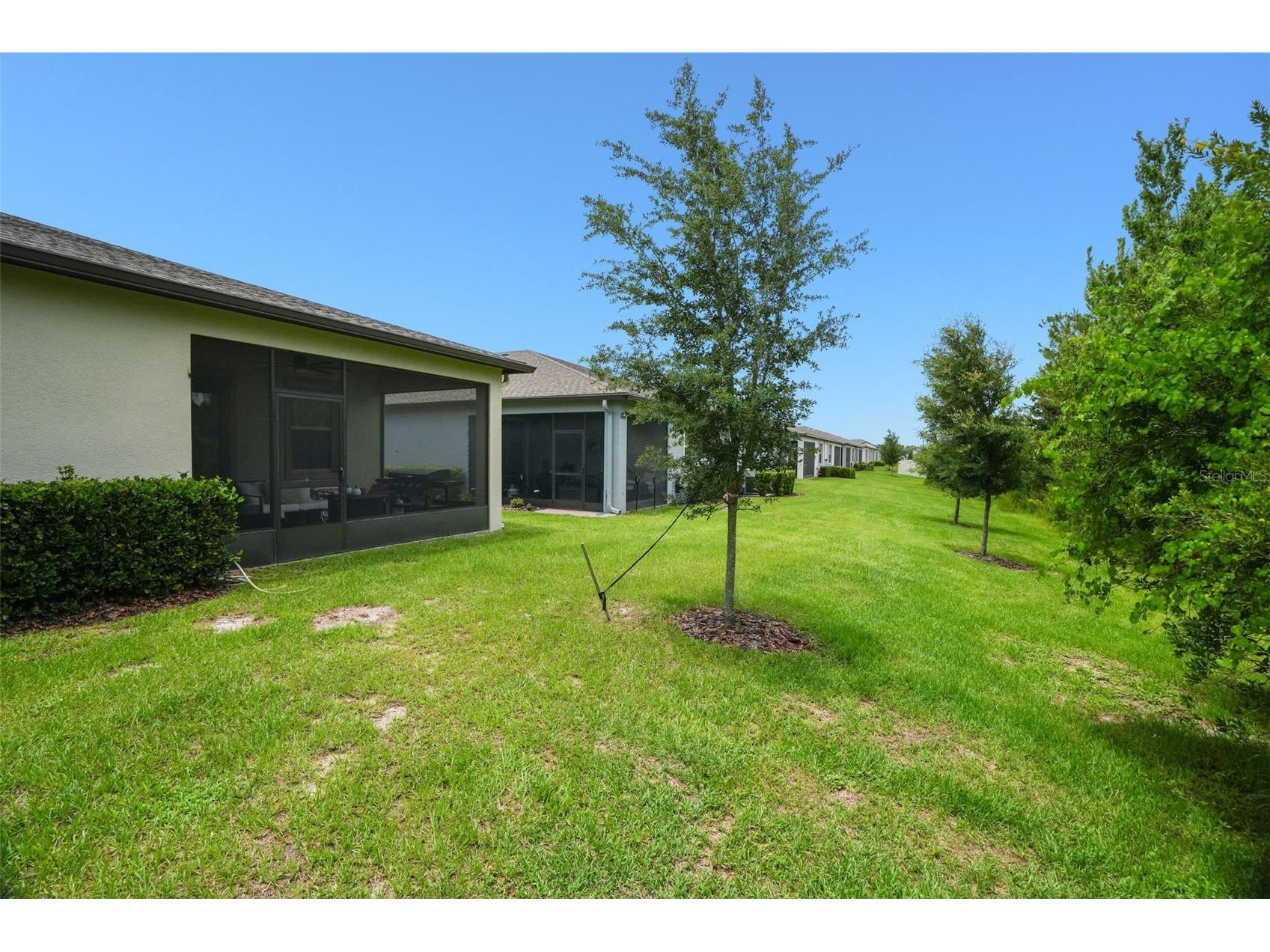 9890 Red Bay Loop Land O Lakes FL 34637 TB8515692 image28