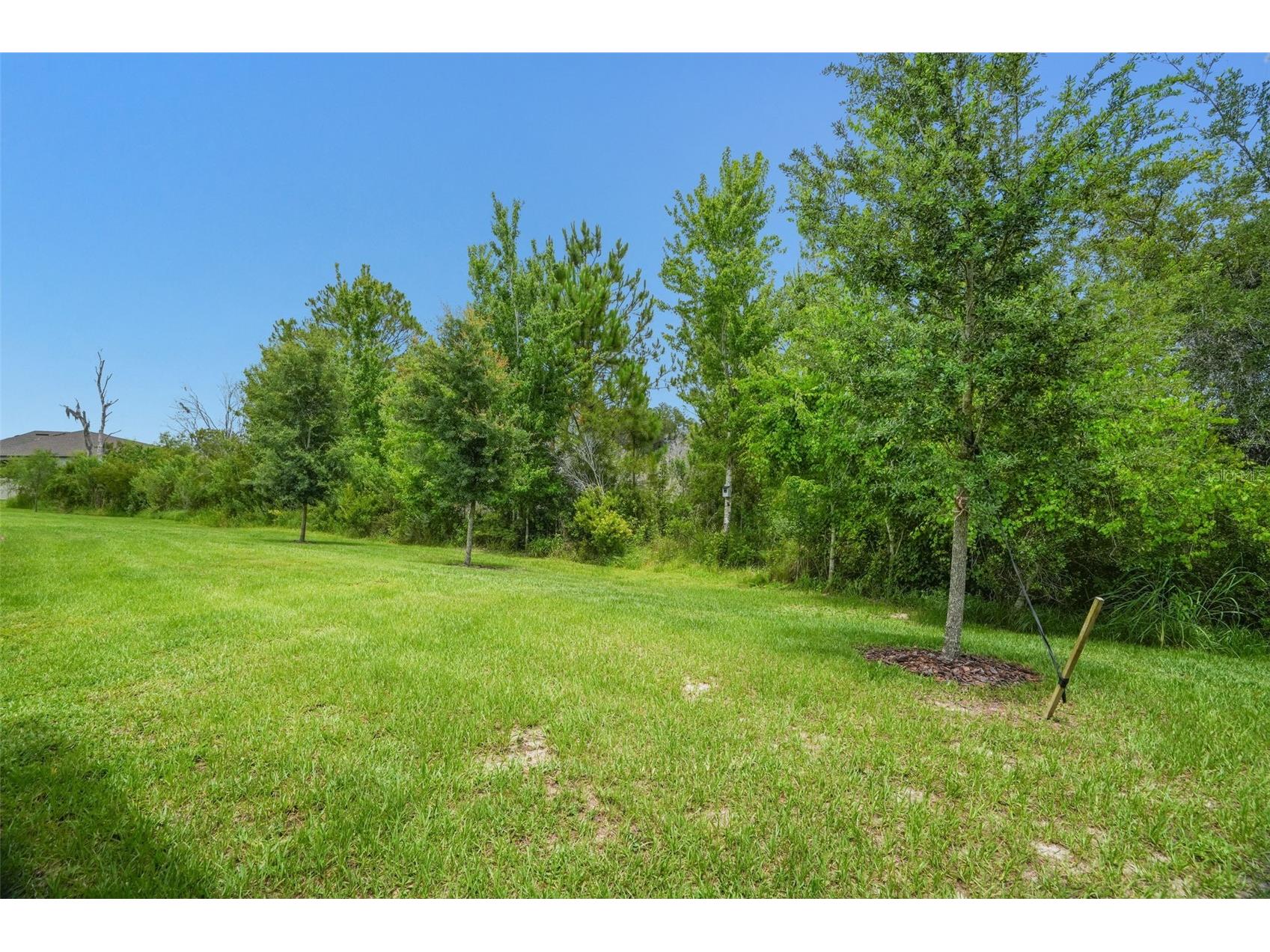 9890 Red Bay Loop Land O Lakes FL 34637 TB8515692 image29