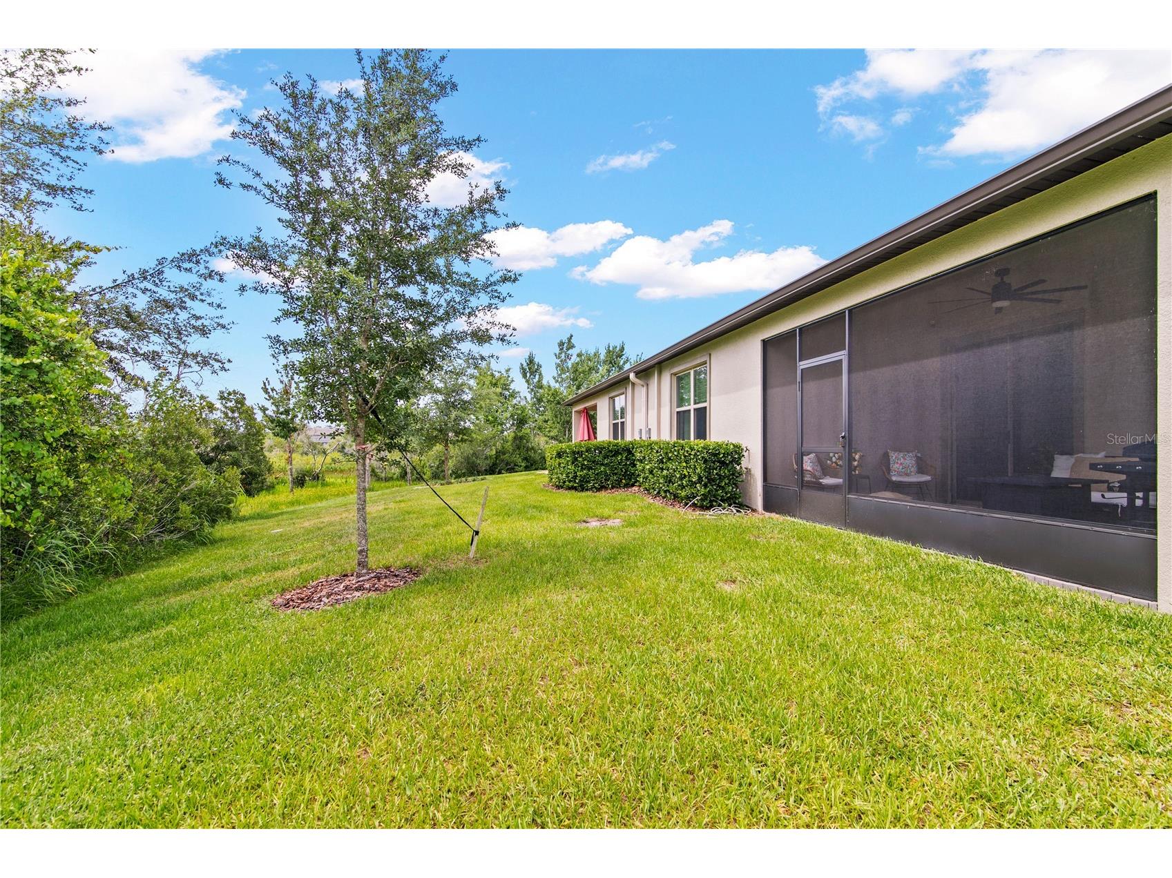 9890 Red Bay Loop Land O Lakes FL 34637 TB8518654 image37