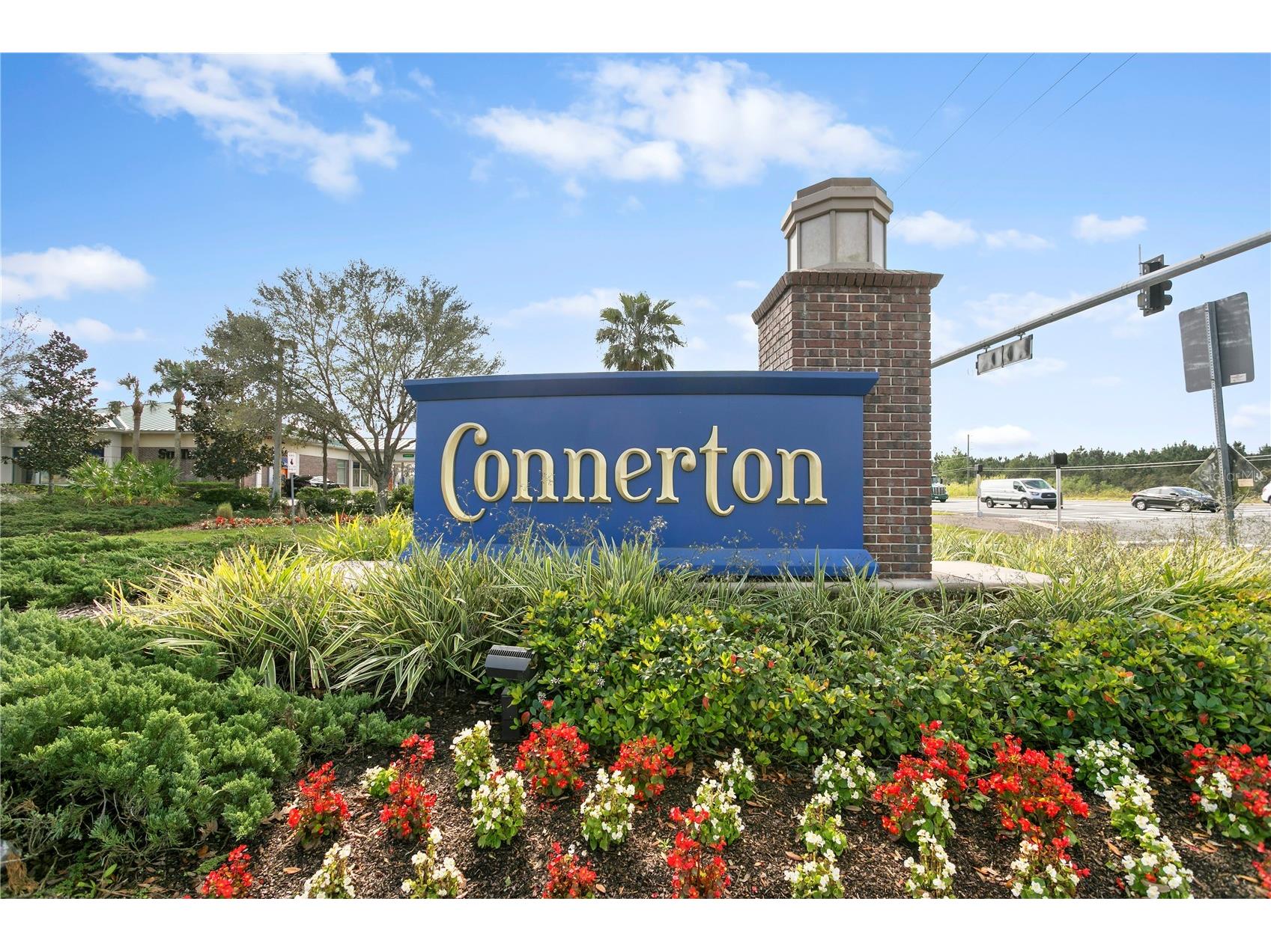 9890 Red Bay Loop Land O Lakes FL 34637 TB8518654 image38