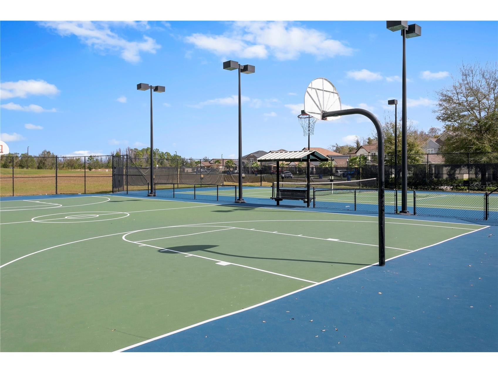 9890 Red Bay Loop Land O Lakes FL 34637 TB8518654 image45