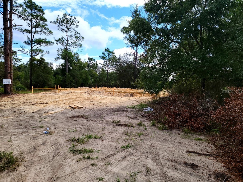 9891 NE 105 Avenue Archer FL 32618 OM626945 image1