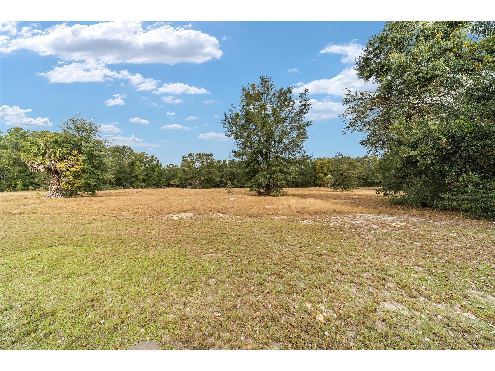 9894 SE 138th Loop Summerfield FL 34491 OM713995 image11