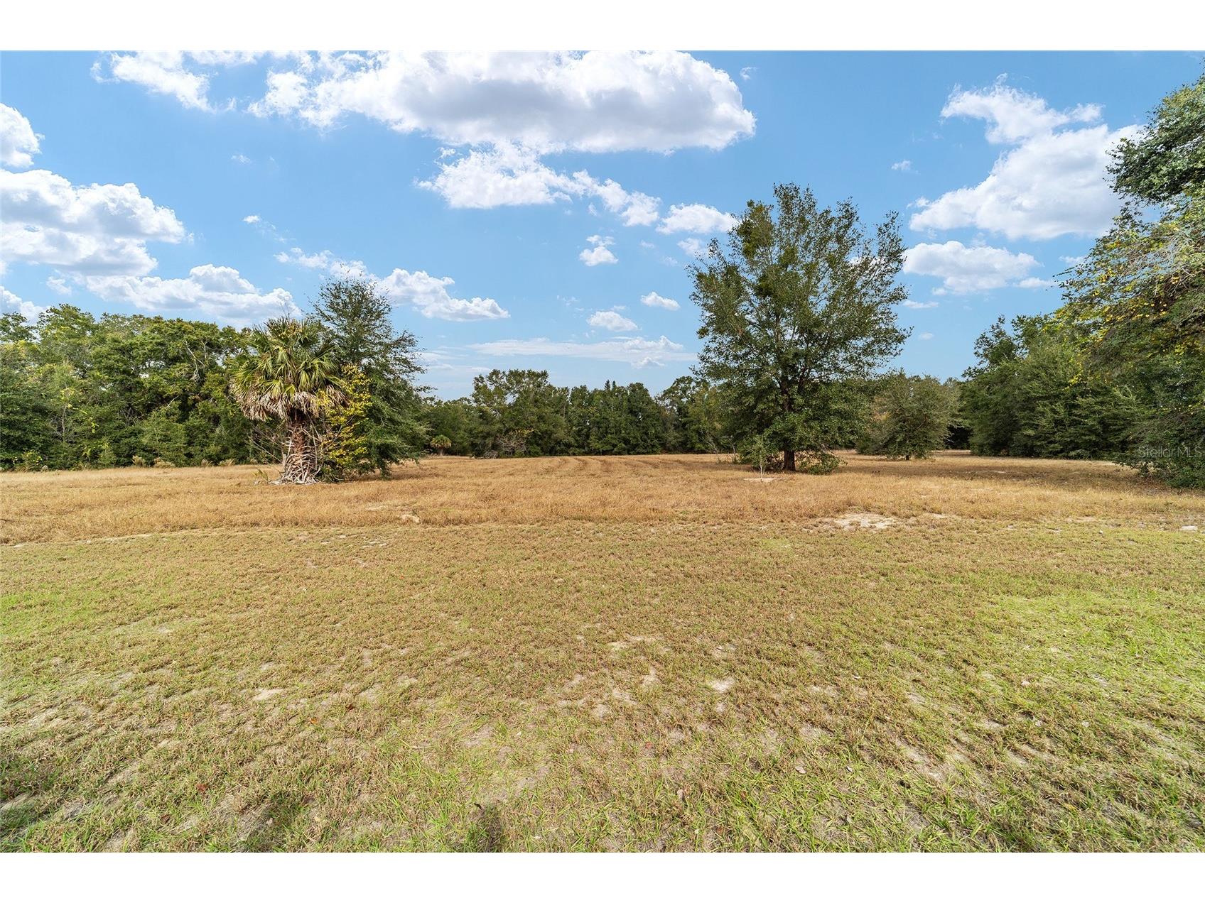 9894 SE 138th Loop Summerfield FL 34491 OM713995 image13