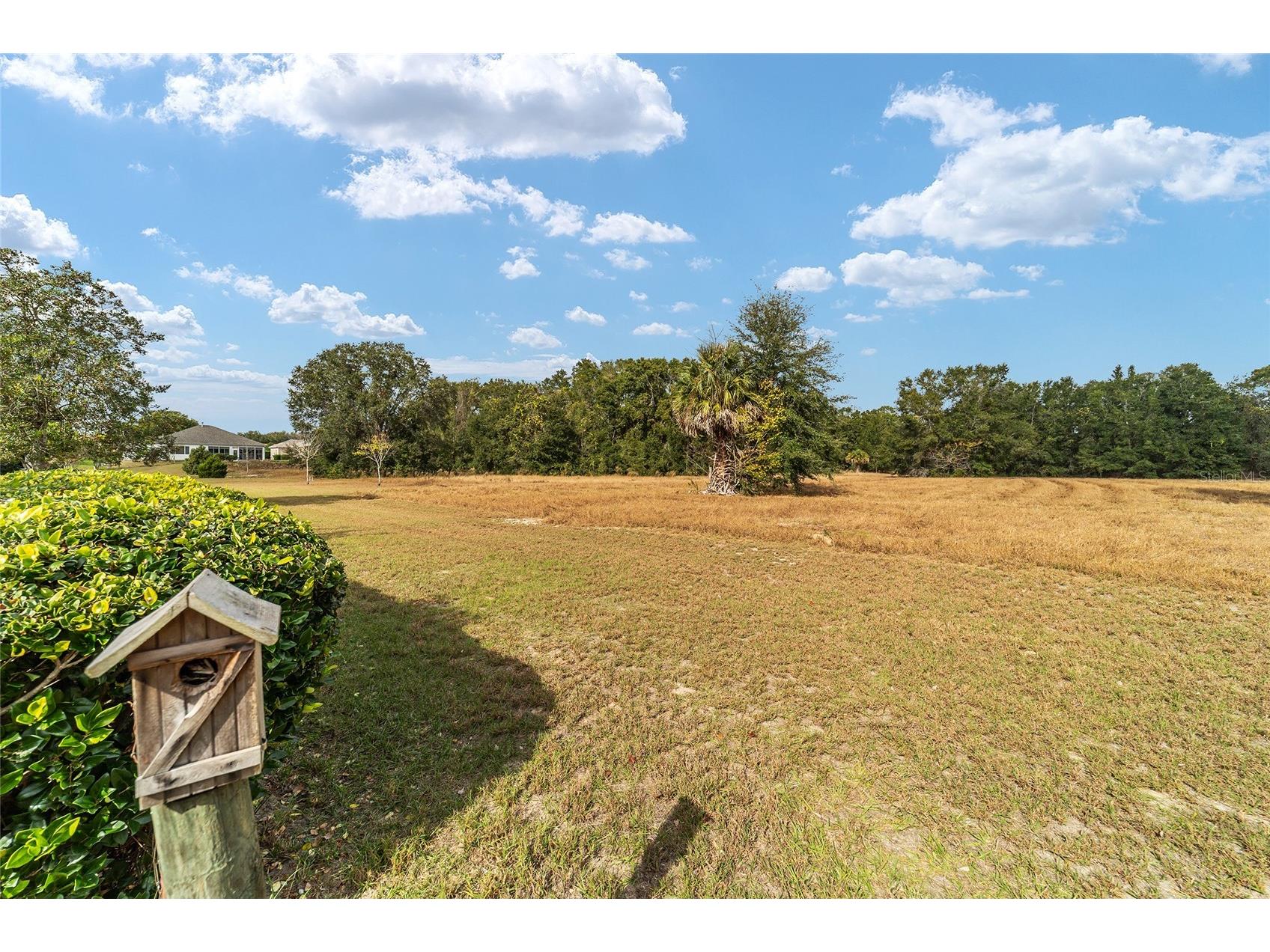 9894 SE 138th Loop Summerfield FL 34491 OM713995 image14