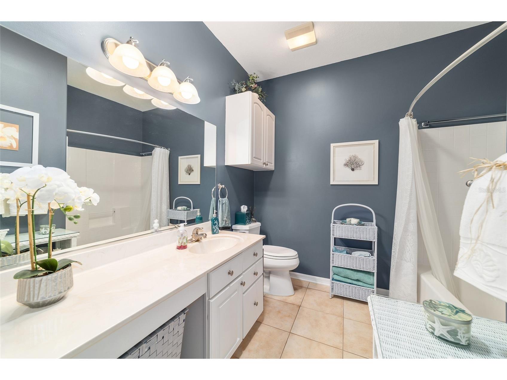 9894 SE 138th Loop Summerfield FL 34491 OM713995 image59