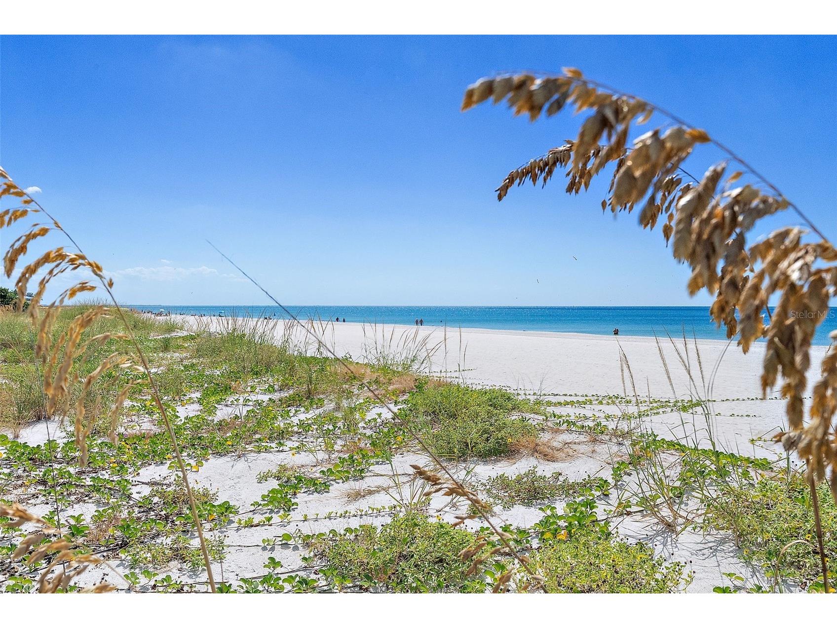 9895 1st Street E #9 Treasure Island FL 33706 TB8440223 image8