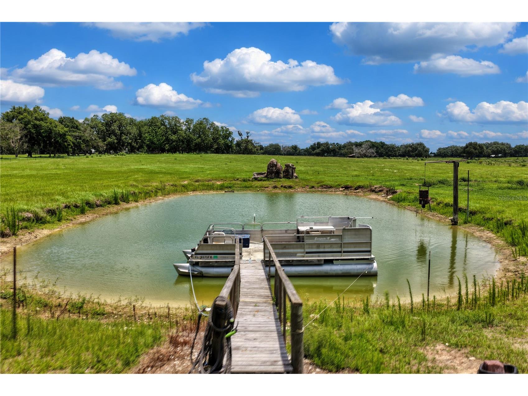 9897 NW 160 Avenue Morriston FL 32668 OM727467 image23