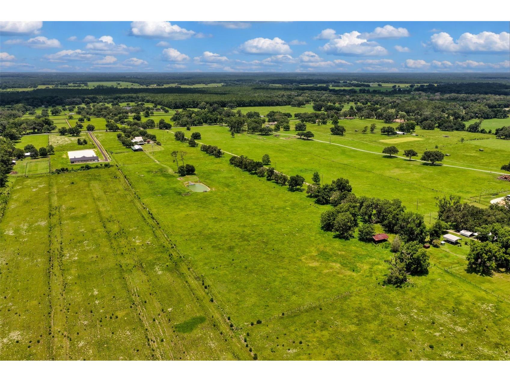 9897 NW 160 Avenue Morriston FL 32668 OM727467 image27