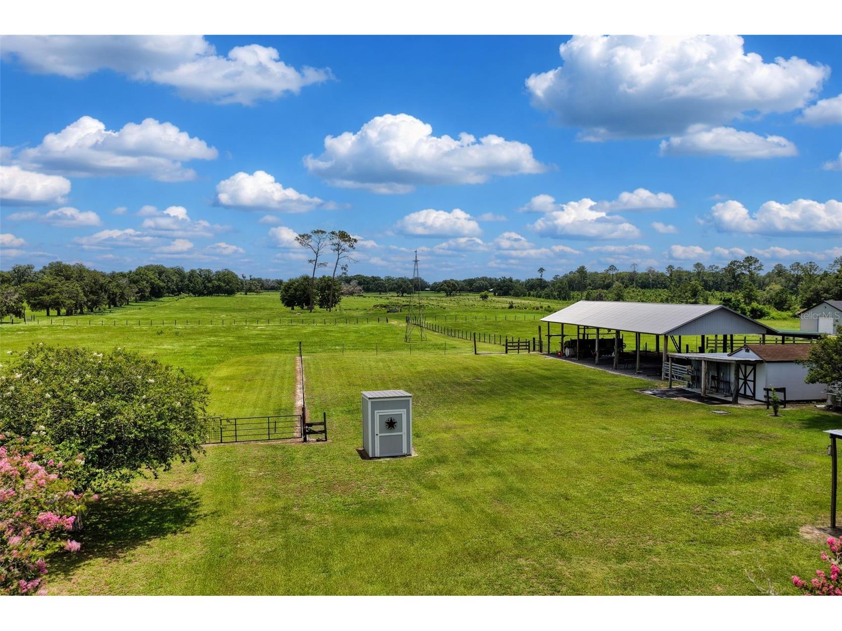 9897 NW 160 Avenue Morriston FL 32668 OM727467 image28