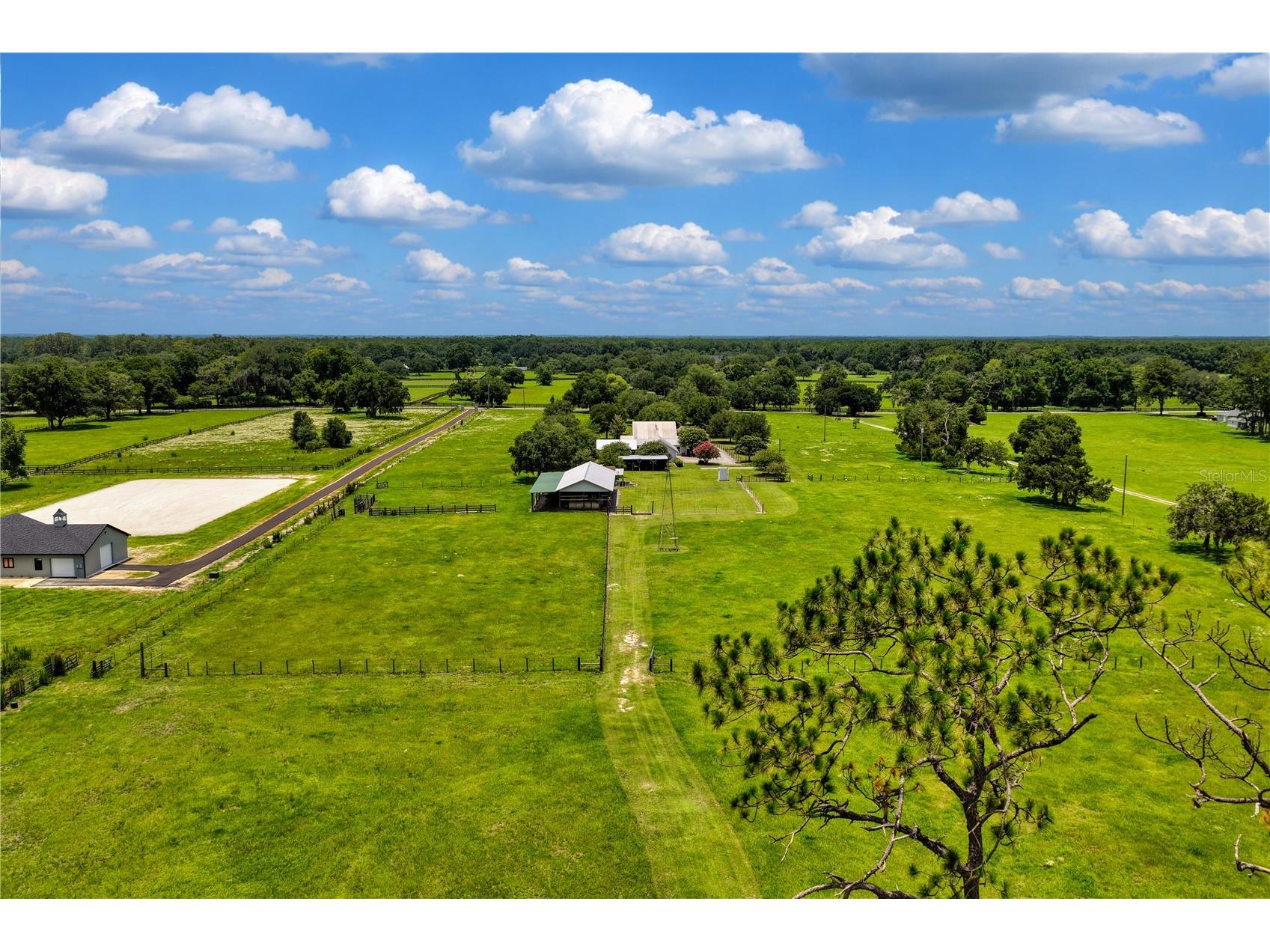 9897 NW 160 Avenue Morriston FL 32668 OM727467 image32
