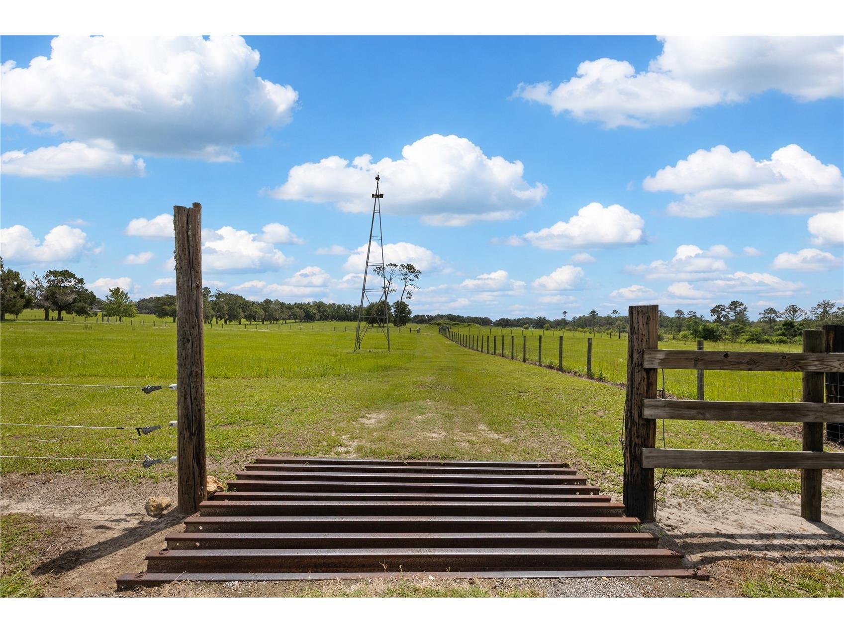 9897 NW 160 Avenue Morriston FL 32668 OM727467 image33