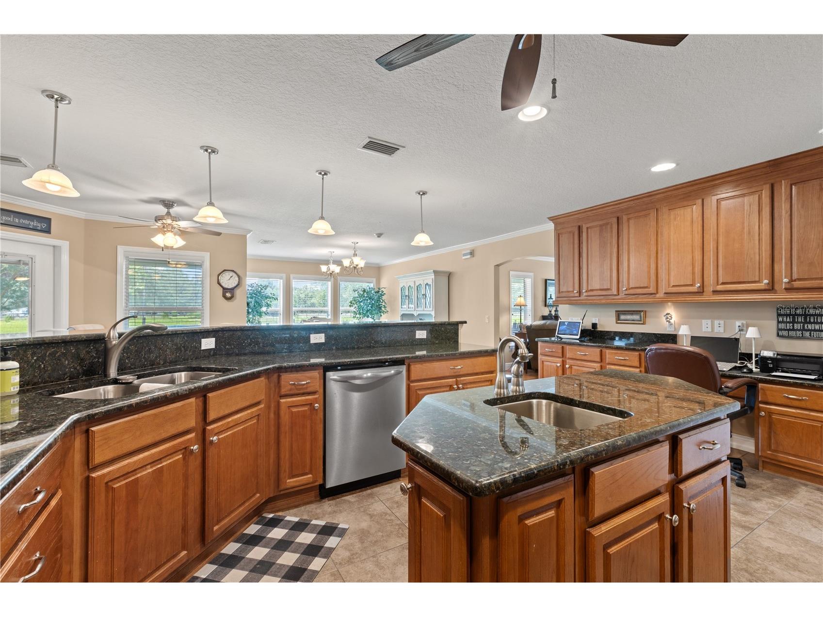 9897 NW 160 Avenue Morriston FL 32668 OM727467 image42