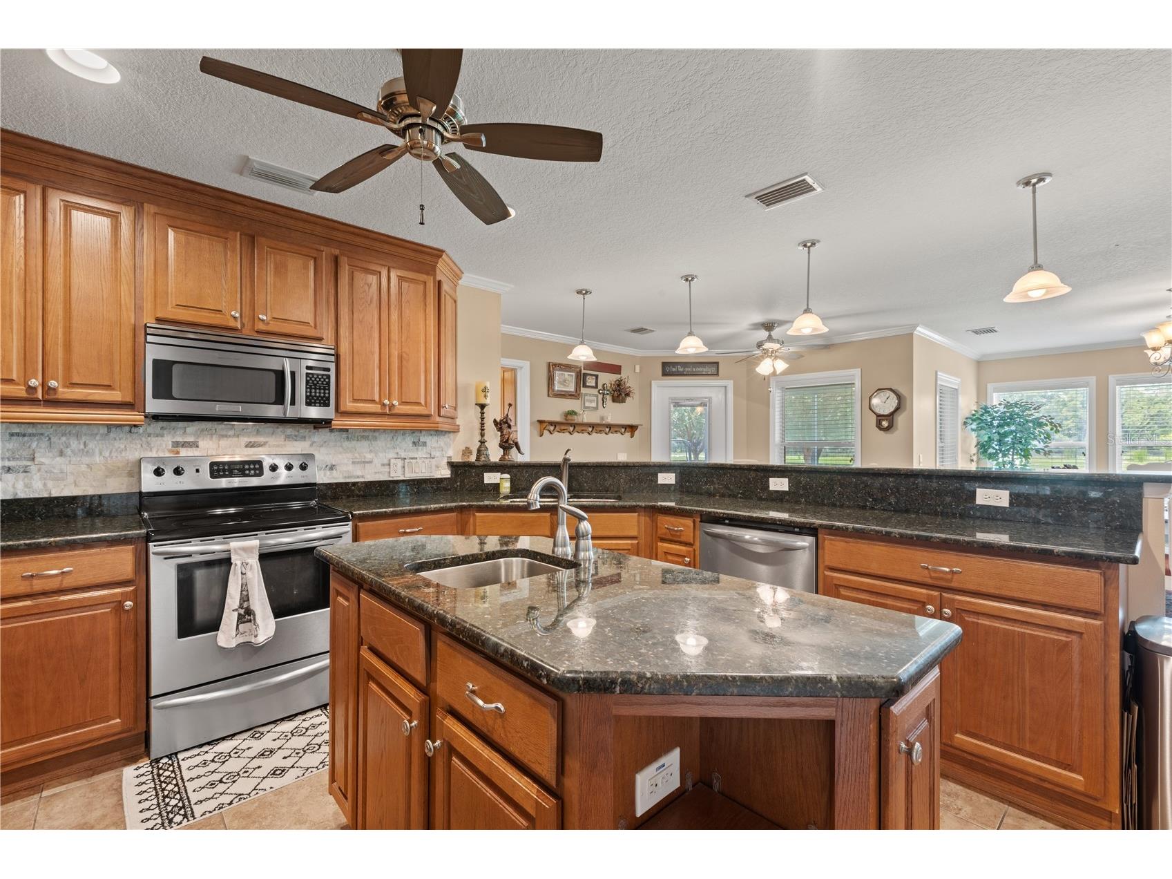 9897 NW 160 Avenue Morriston FL 32668 OM727467 image45