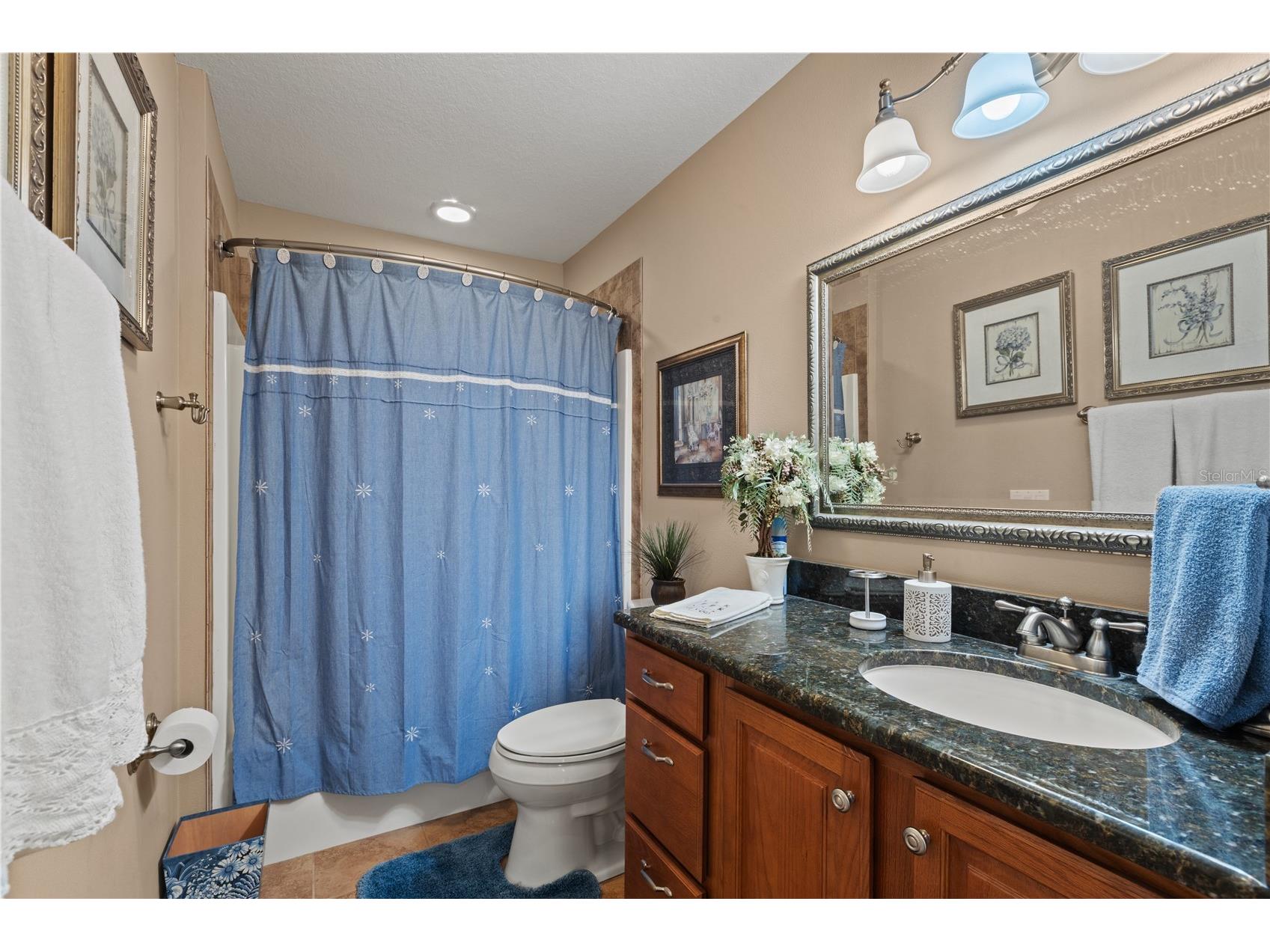 9897 NW 160 Avenue Morriston FL 32668 OM727467 image56