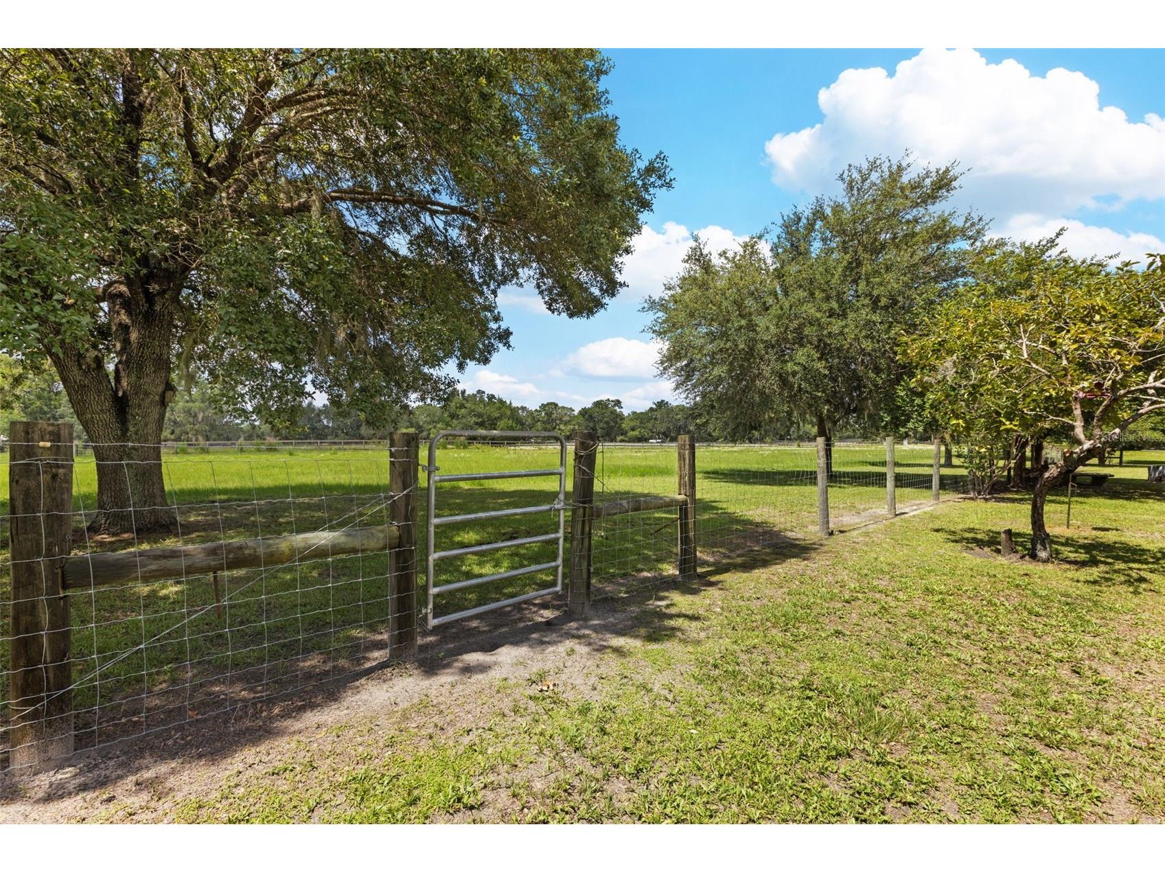 9897 NW 160 Avenue Morriston FL 32668 OM727467 image77