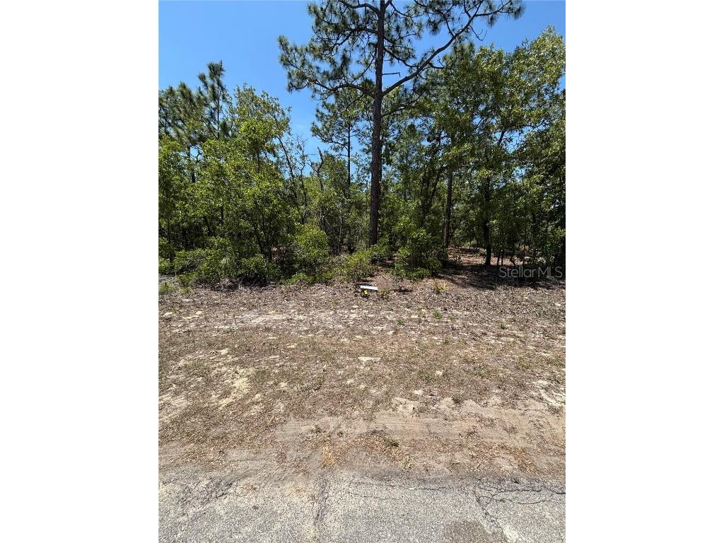 9898 N Lathyrus Terrace Dunnellon FL 34433 O6302546 image1