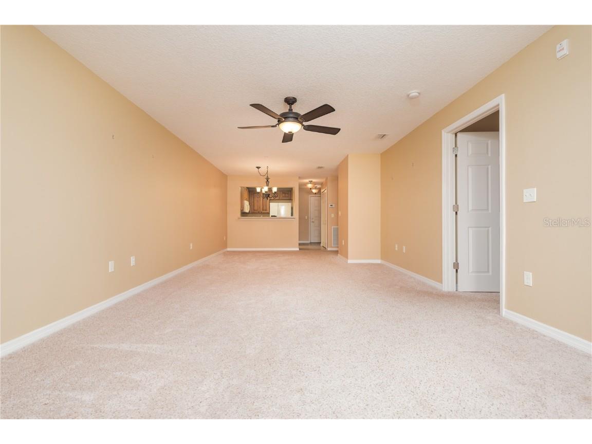 99 Broad River Place #3205 Welaka FL 32193 FC313467 image12