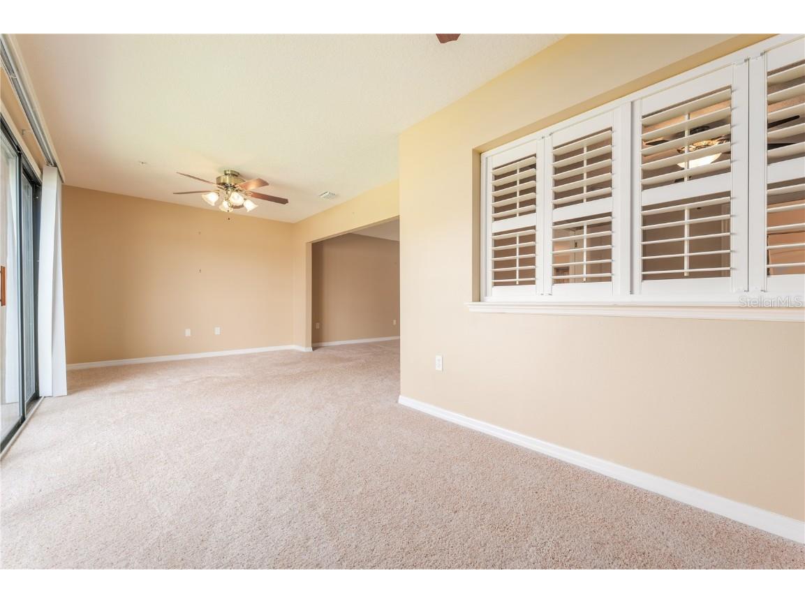 99 Broad River Place #3205 Welaka FL 32193 FC313467 image19