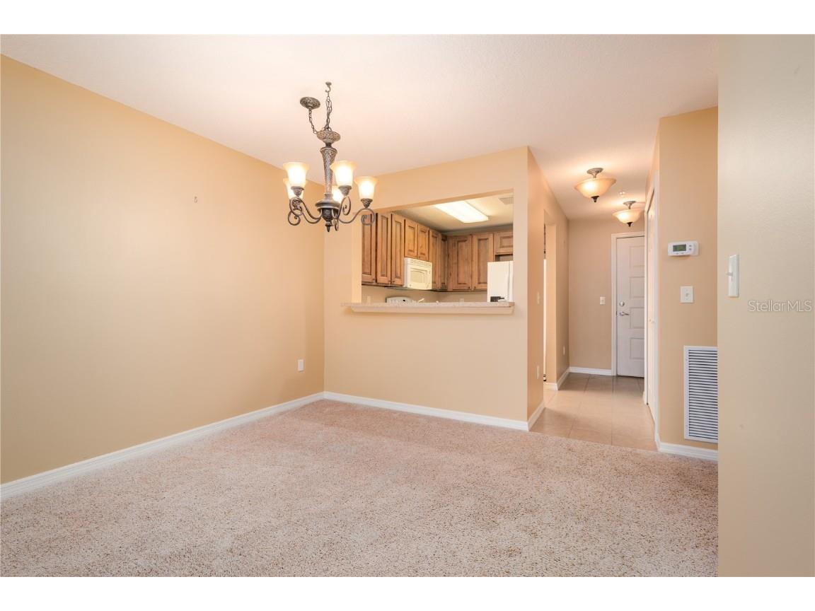 99 Broad River Place #3205 Welaka FL 32193 FC313467 image7