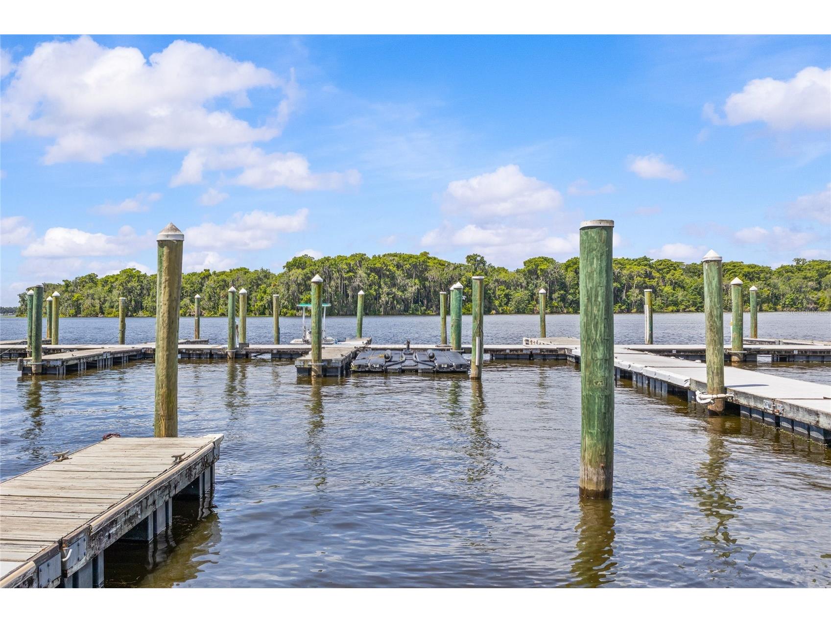 99 Broad River Place #3206 Welaka FL 32193 FC318779 image33