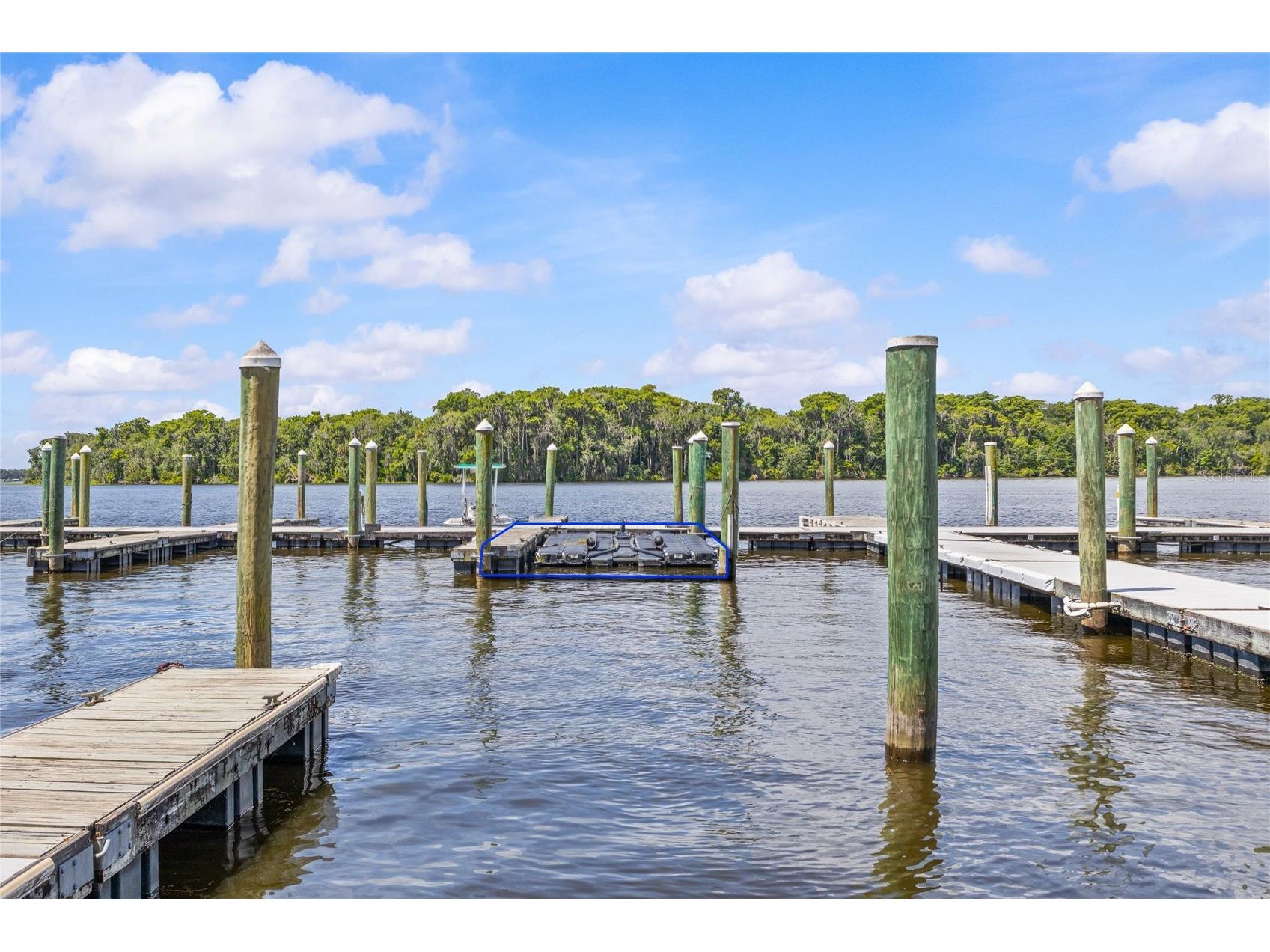 99 Broad River Place #3206 Welaka FL 32193 FC318779 image34