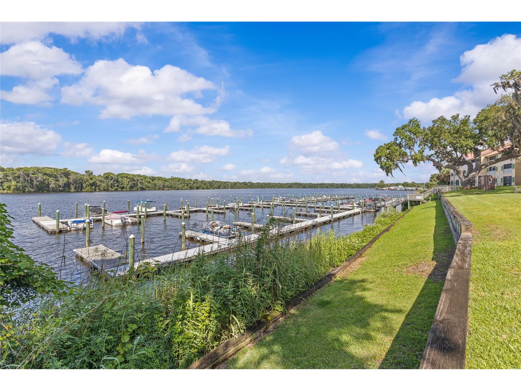 99 Broad River Place #3206 Welaka FL 32193 FC318779 image41