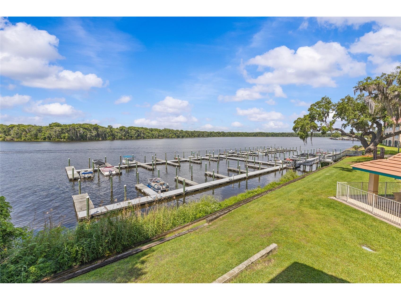 99 Broad River Place #3206 Welaka FL 32193 FC318779 image42