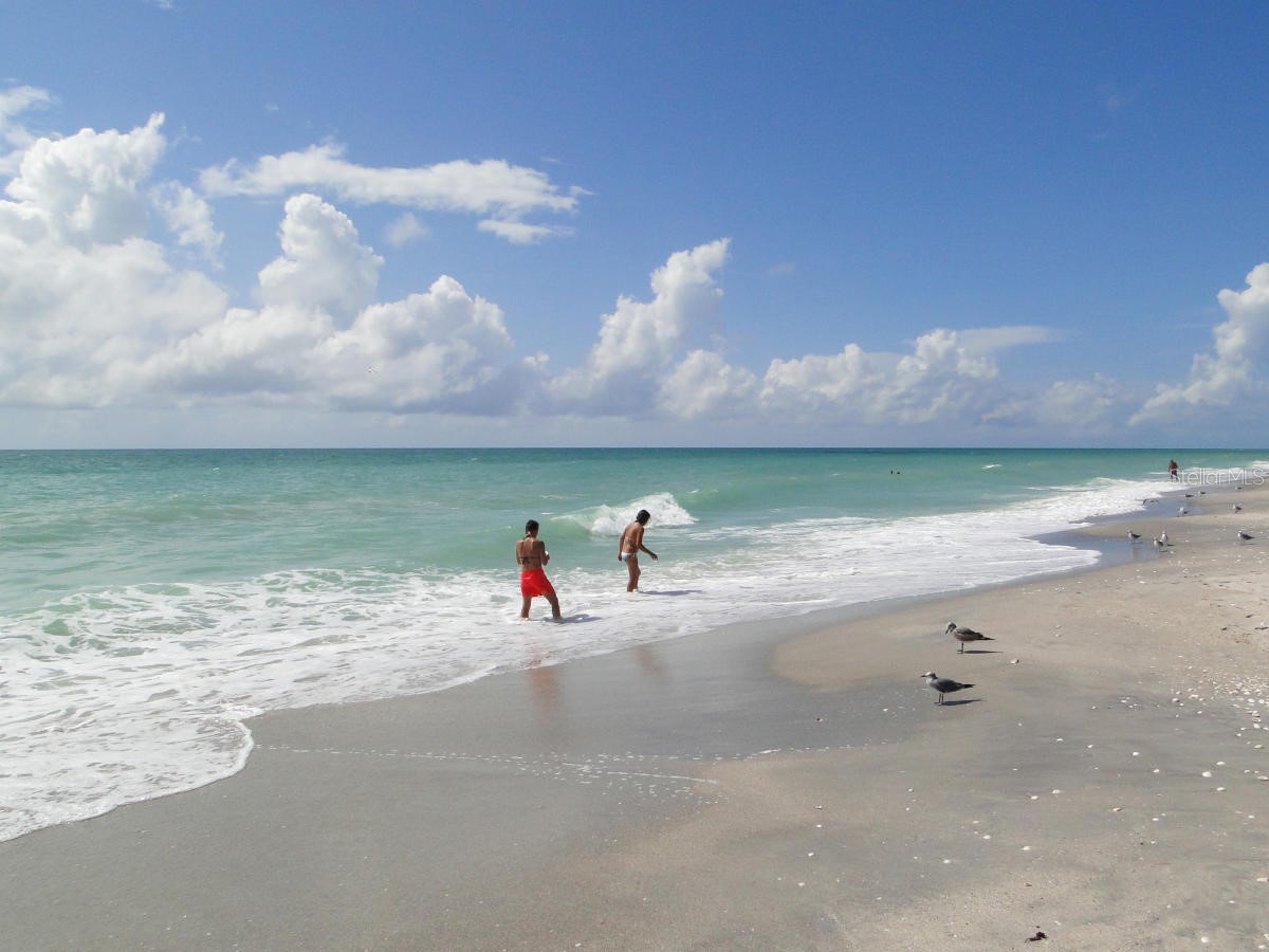 99 Harness Road Placida FL 33946 C7520879 image14