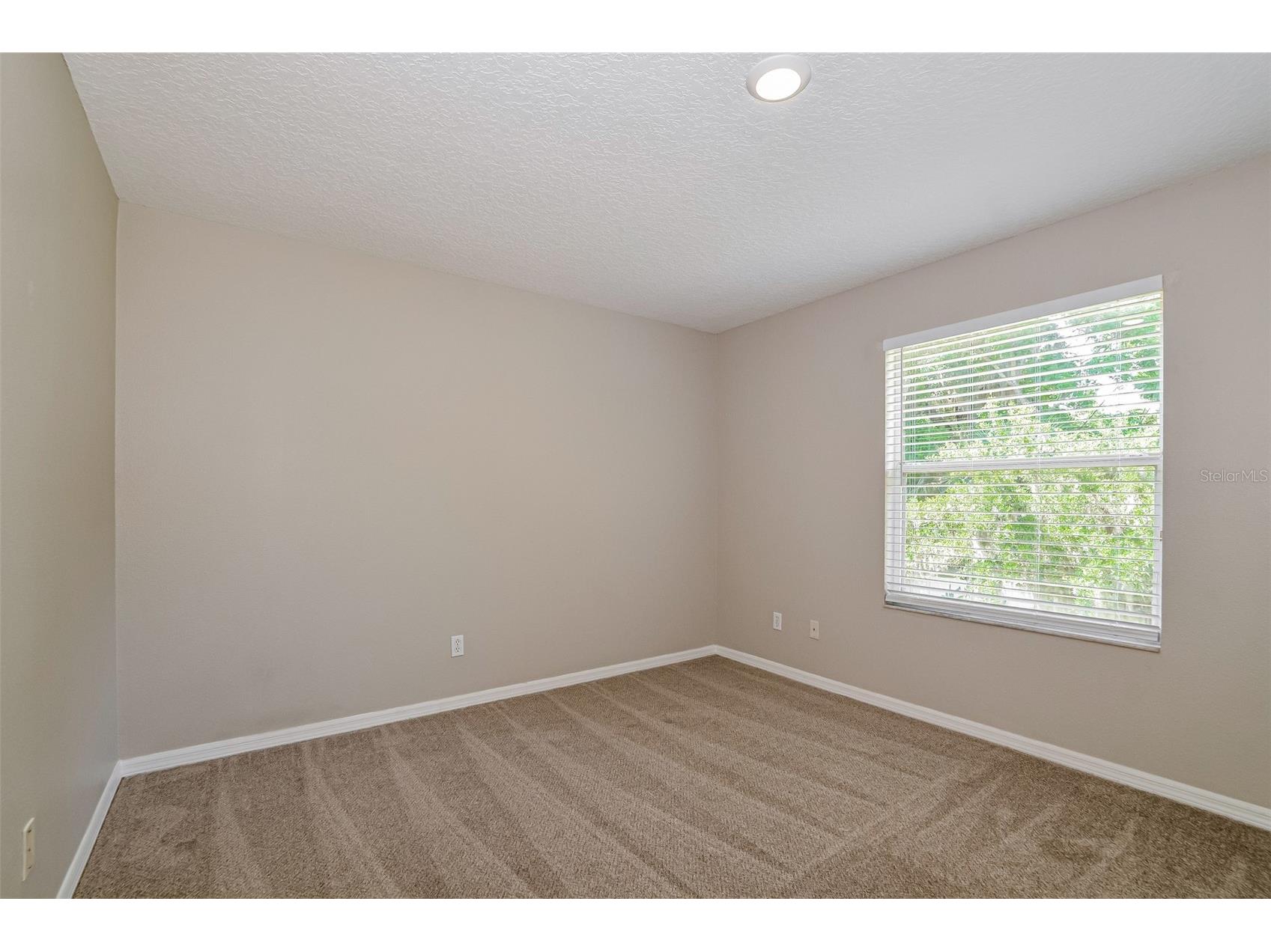 99 Jake Court Ocoee FL 34761 TB8506275 image27