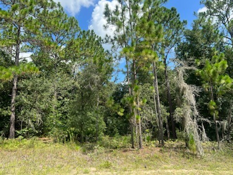 99 W Goldcoast Pl Citrus Springs FL 34434 W7853058 image1