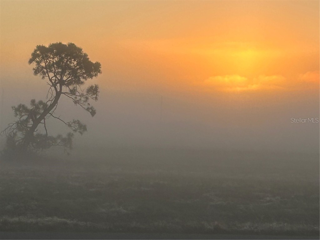 99 Wren Drive Placida FL 33946 D6145108 image53