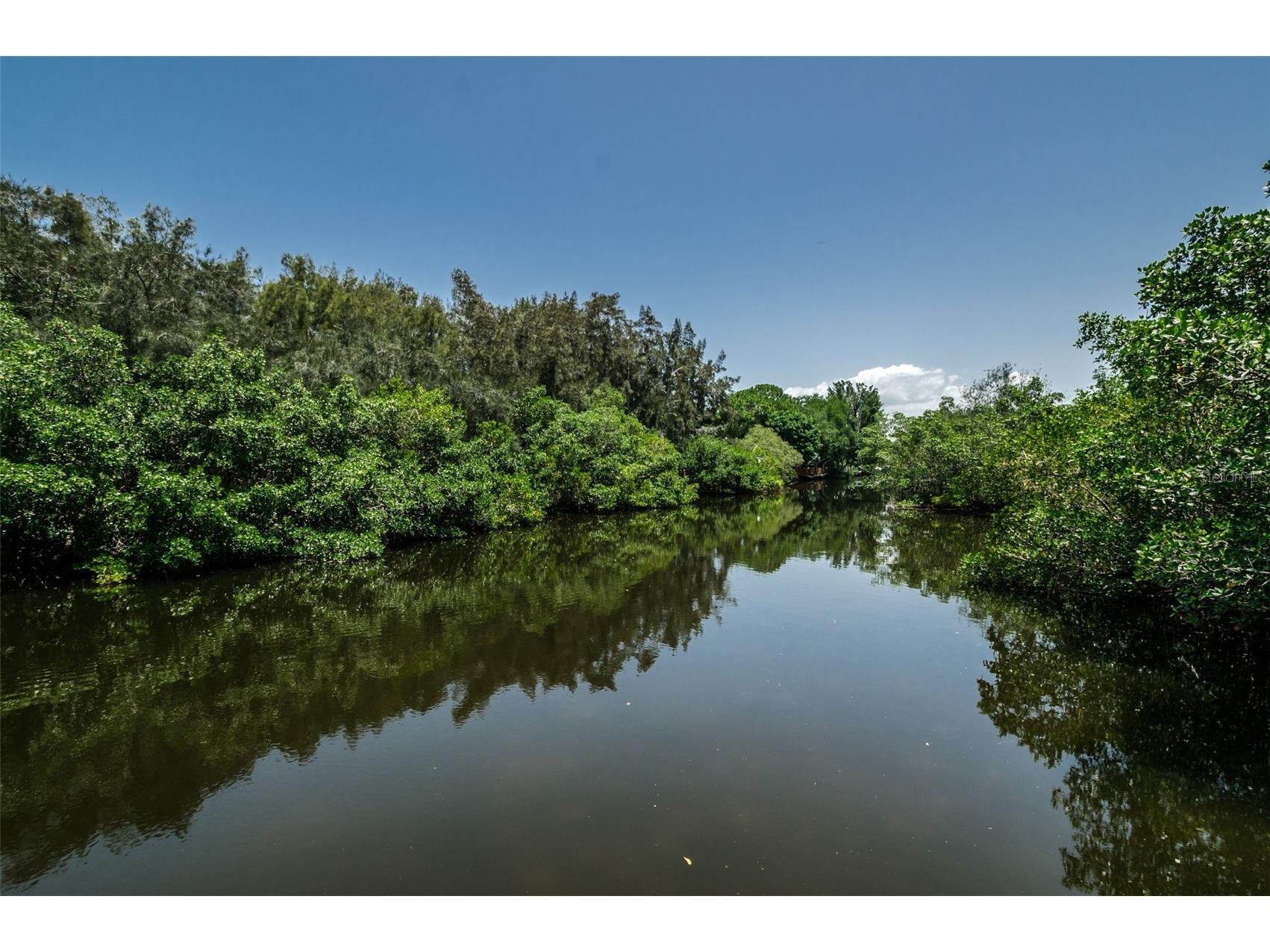 990 San Carlos Court NE Saint Petersburg FL 33702 TB8468554 image58