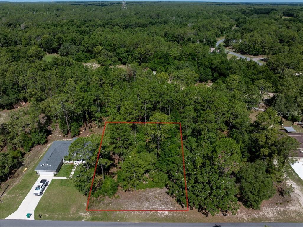 9900 N Langdom Road Citrus Springs FL 34433 OM679292 image1
