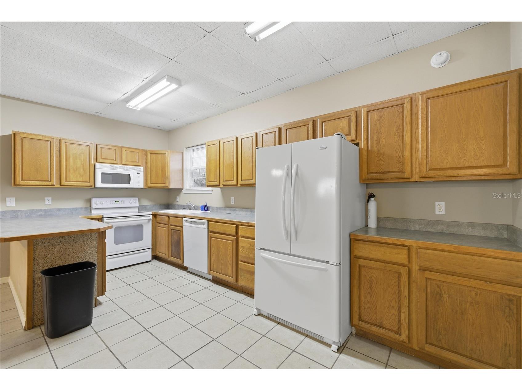 9900 SE Sunset Harbor Road Summerfield FL 34491 OM717282 image10
