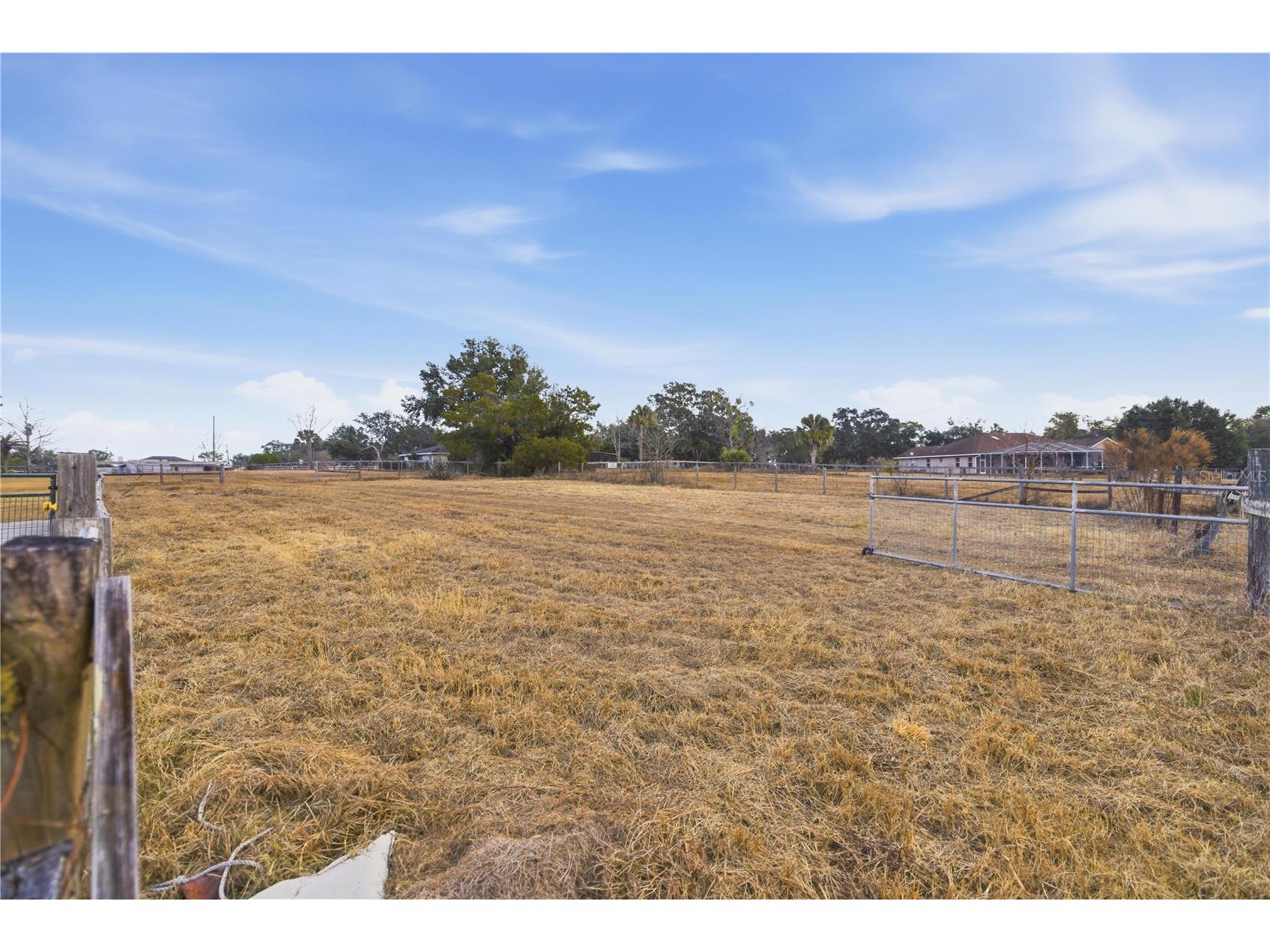 9900 SE Sunset Harbor Road Summerfield FL 34491 OM717282 image18