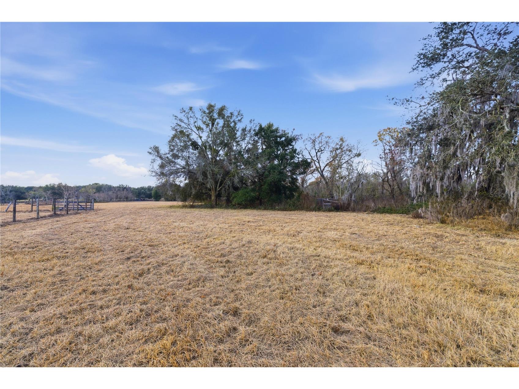 9900 SE Sunset Harbor Road Summerfield FL 34491 OM717282 image28
