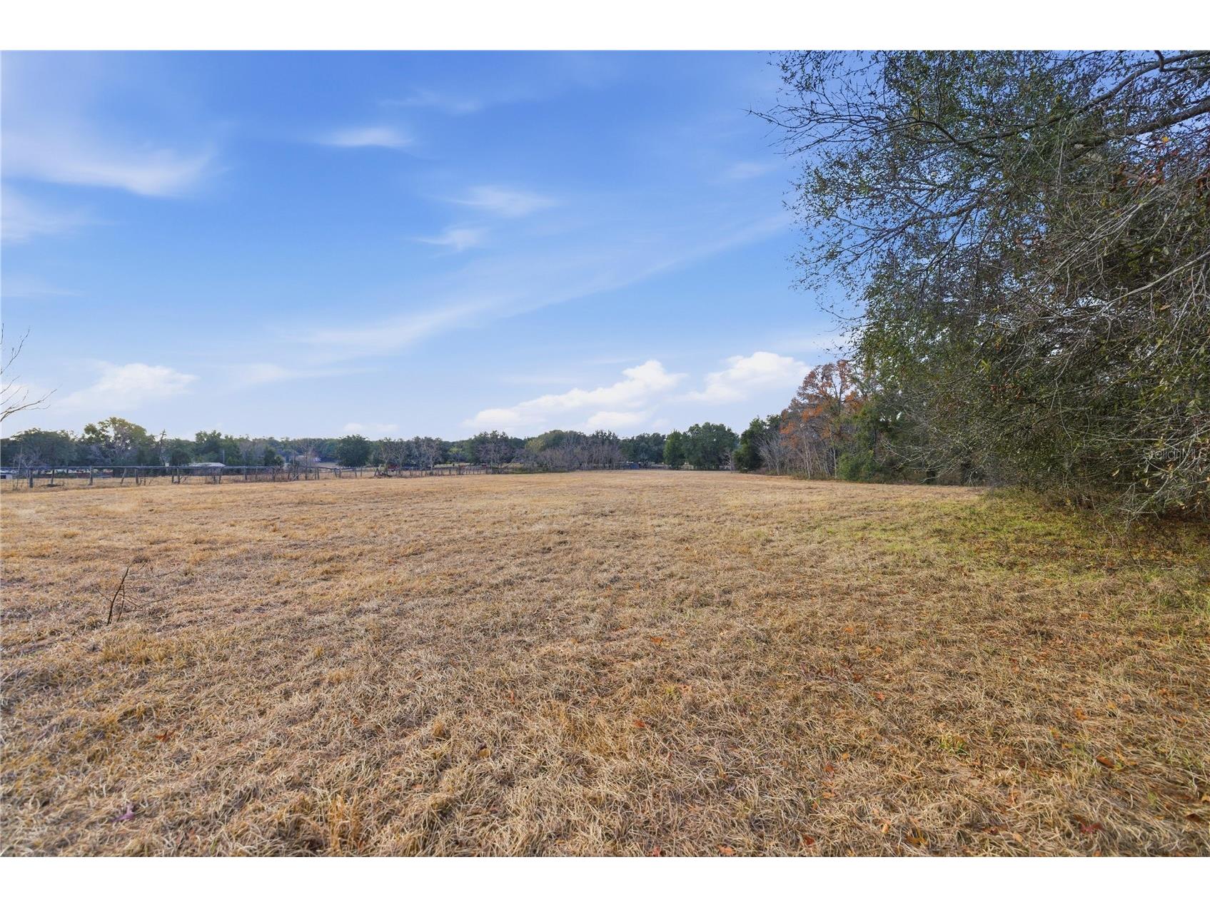 9900 SE Sunset Harbor Road Summerfield FL 34491 OM717282 image29