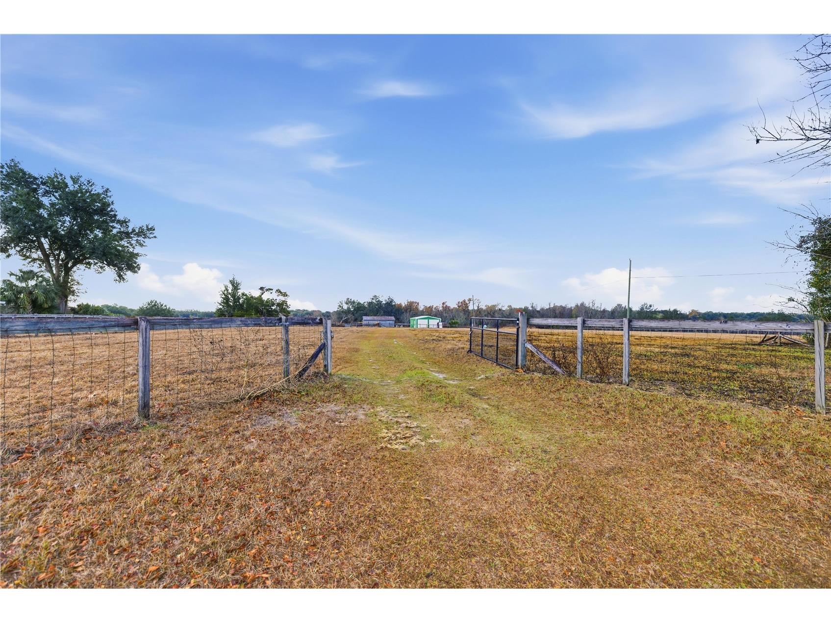 9900 SE Sunset Harbor Road Summerfield FL 34491 OM717282 image4