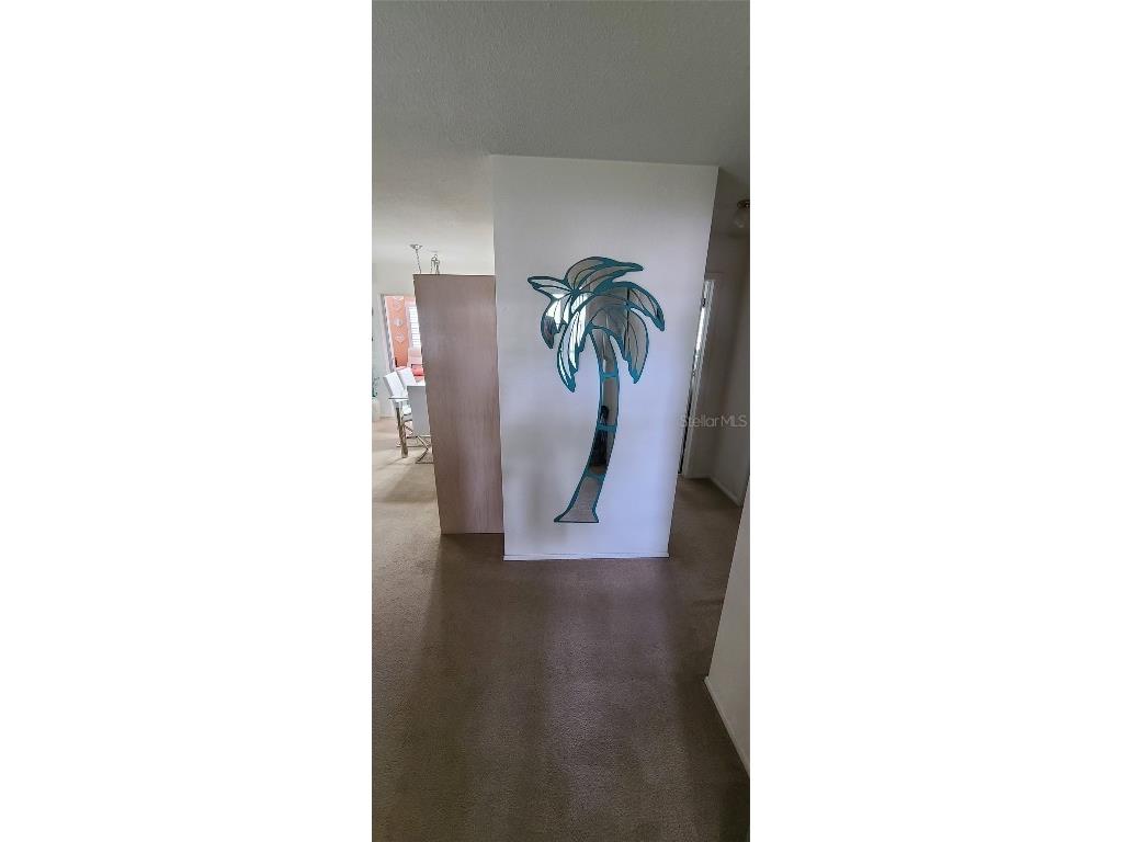 9901 111th Lane Seminole FL 33772 U8241170 image23