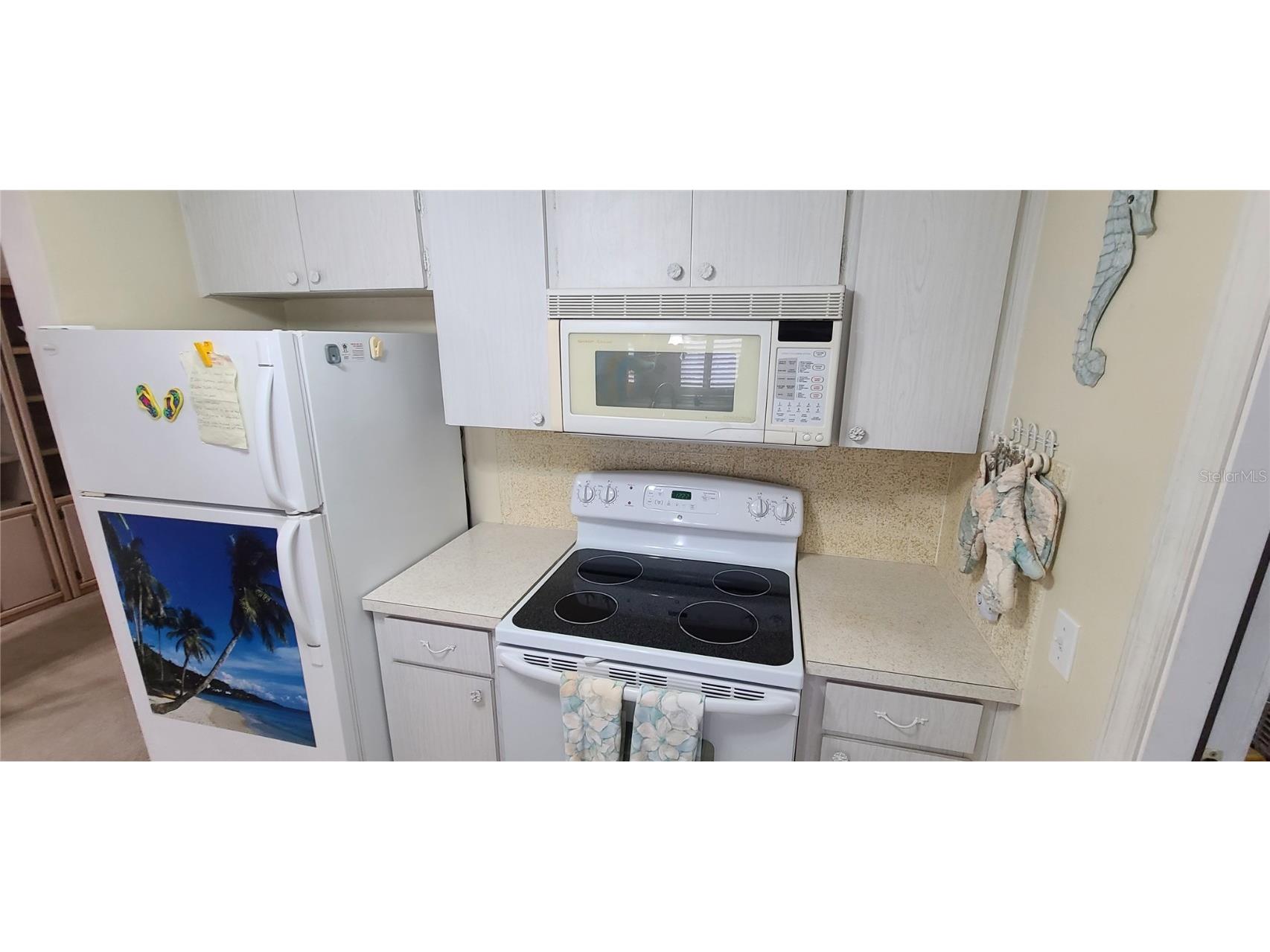 9901 111th Lane Seminole FL 33772 U8241170 image9